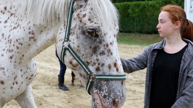 EQUITATION : EQUIFEEL - (11/17 ans)